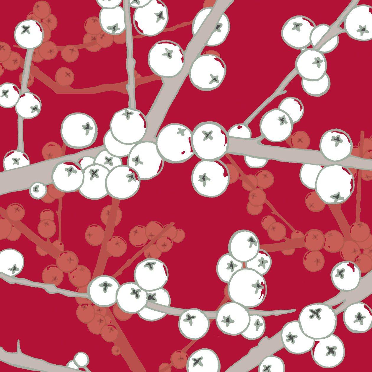 Berry Bright by Sarah Hough