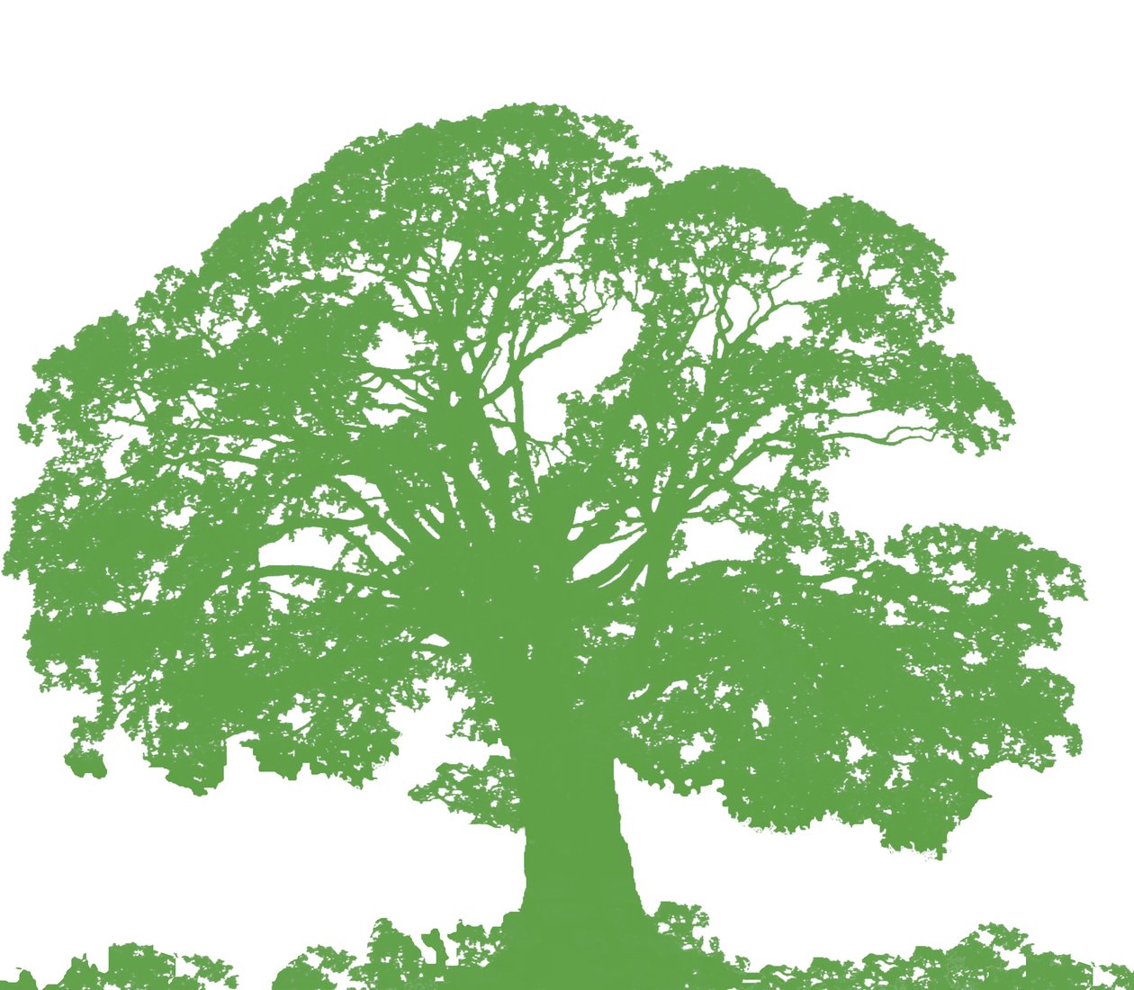 Climbing Tree by Sarah Hough