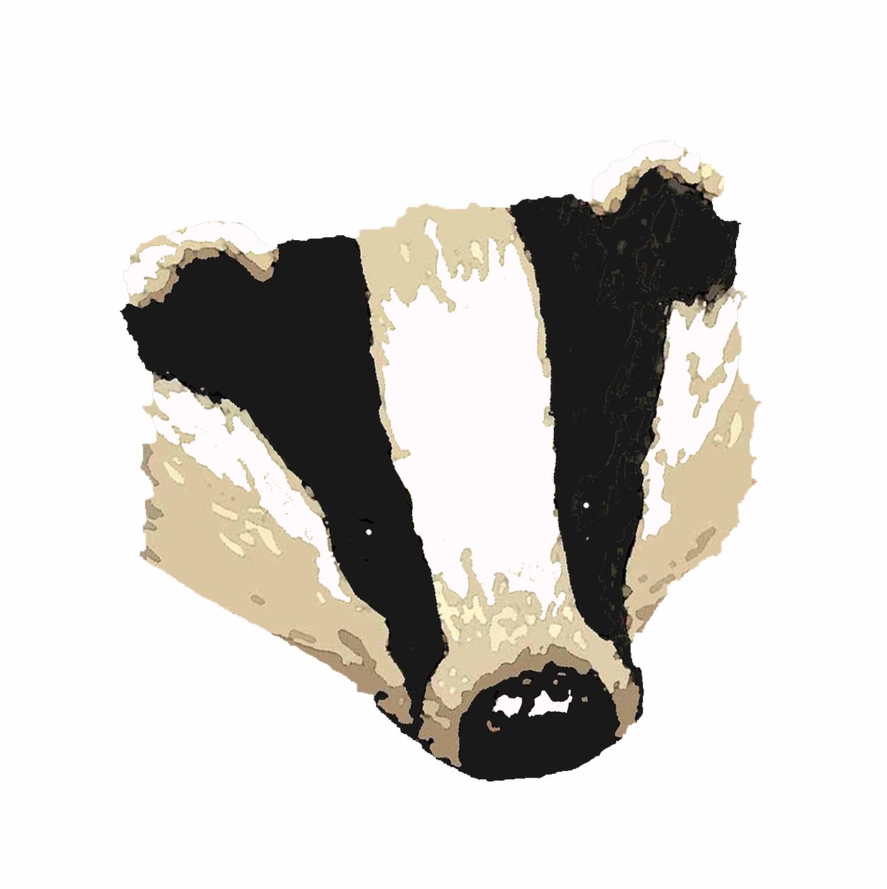Badger by Sarah Thompson Engels