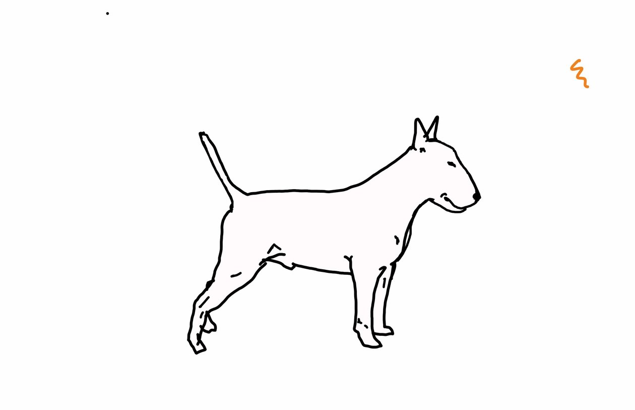 Bull Terrier by Sarah Thompson Engels