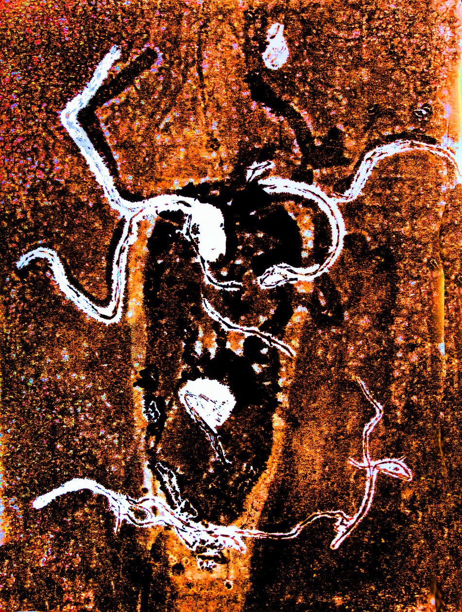 Orange Abstract by Sarah Thompson Engels