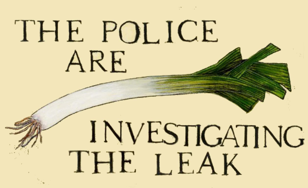 The Police Are Investigating the Leak by Sarah Thompson Engels