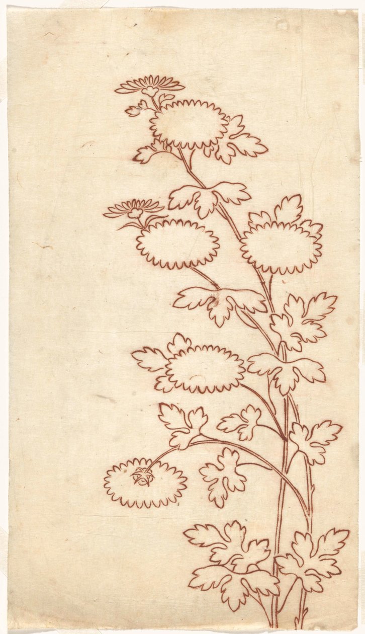 Chrysanthemums by Sasaya (workshop of)