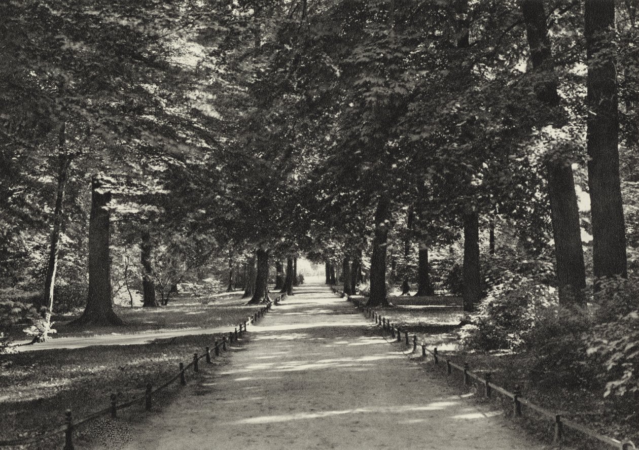 Berlin: Tiergarten by Sasha Stone