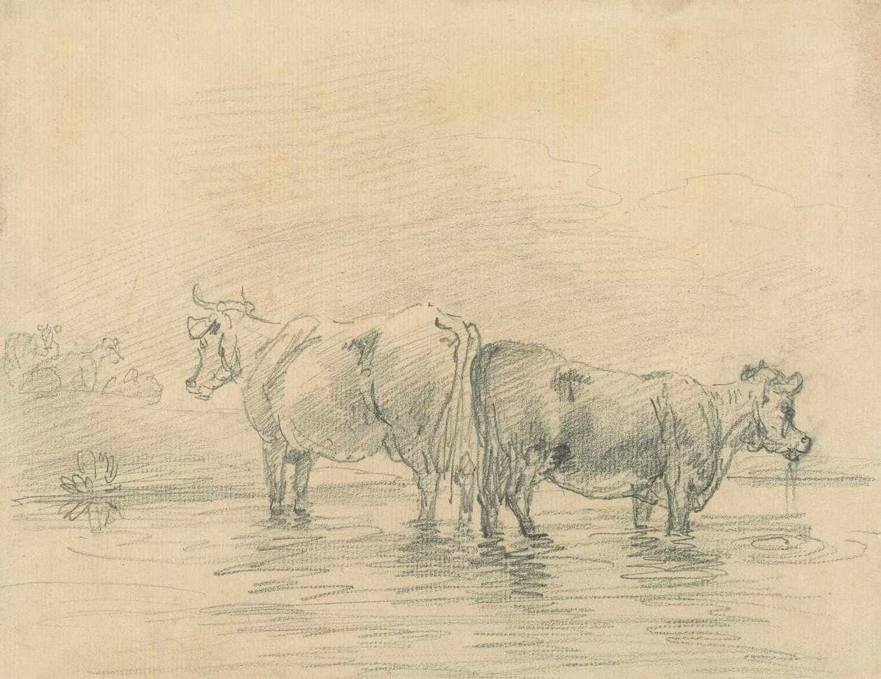 Cattle by Sawrey Gilpin