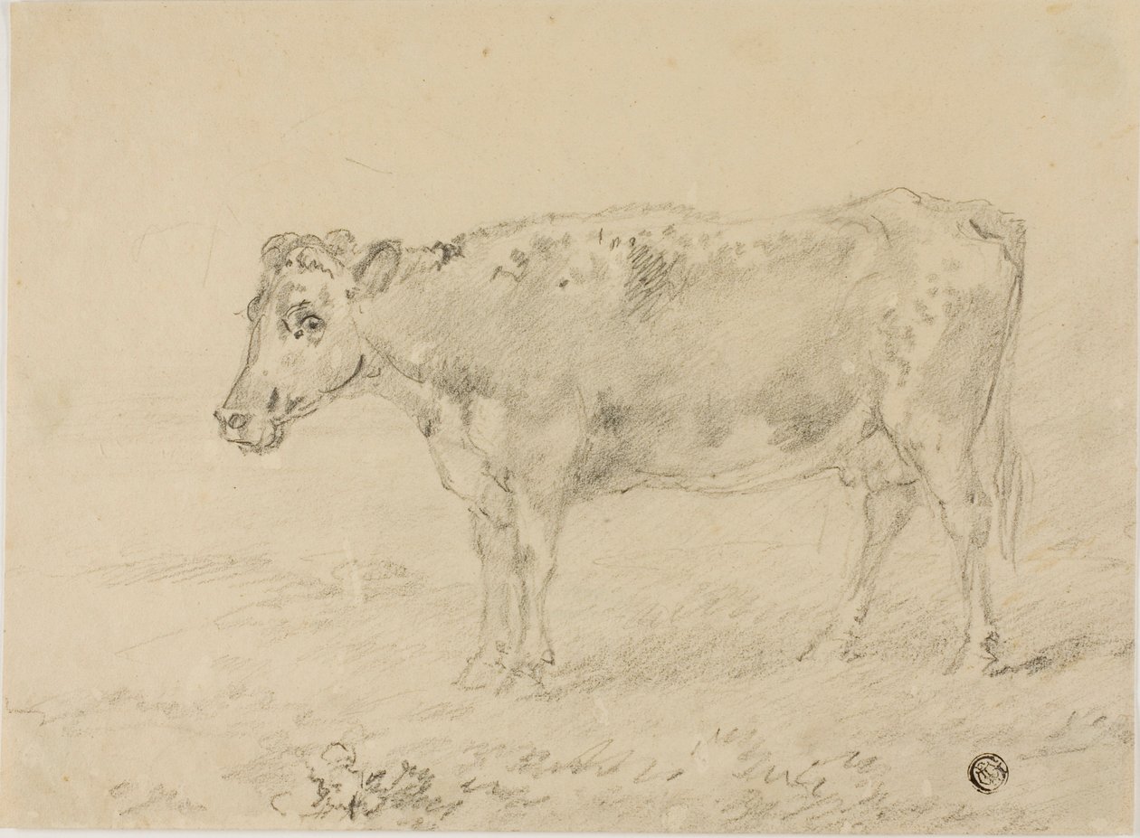 Cow by Sawrey Gilpin