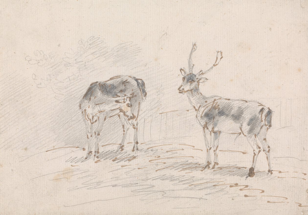 Doe and Buck by Sawrey Gilpin