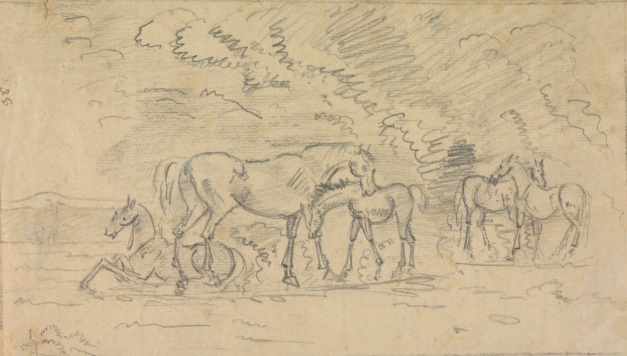 Horses in a Meadow by Sawrey Gilpin