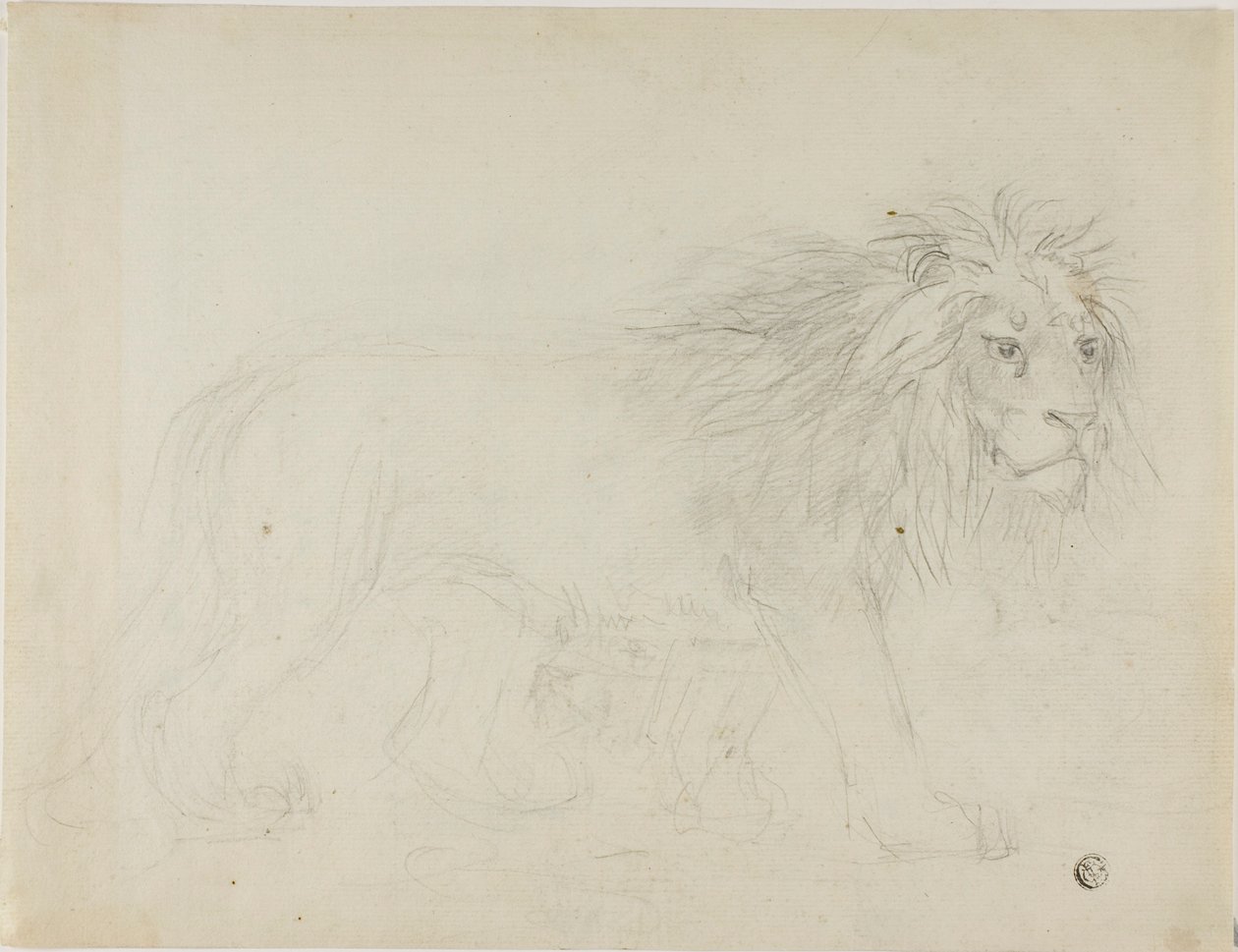 Lion by Sawrey Gilpin