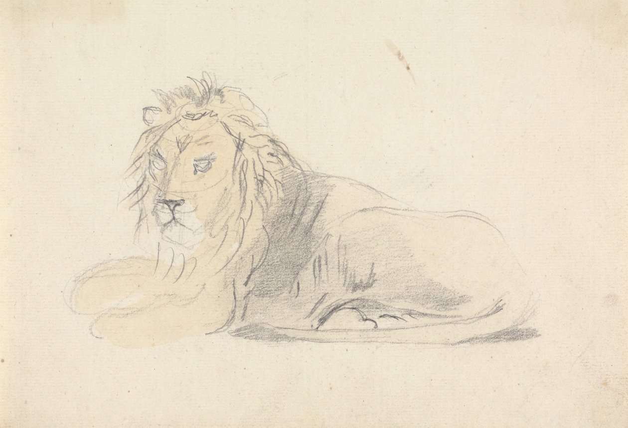 Study of a Lion by Sawrey Gilpin