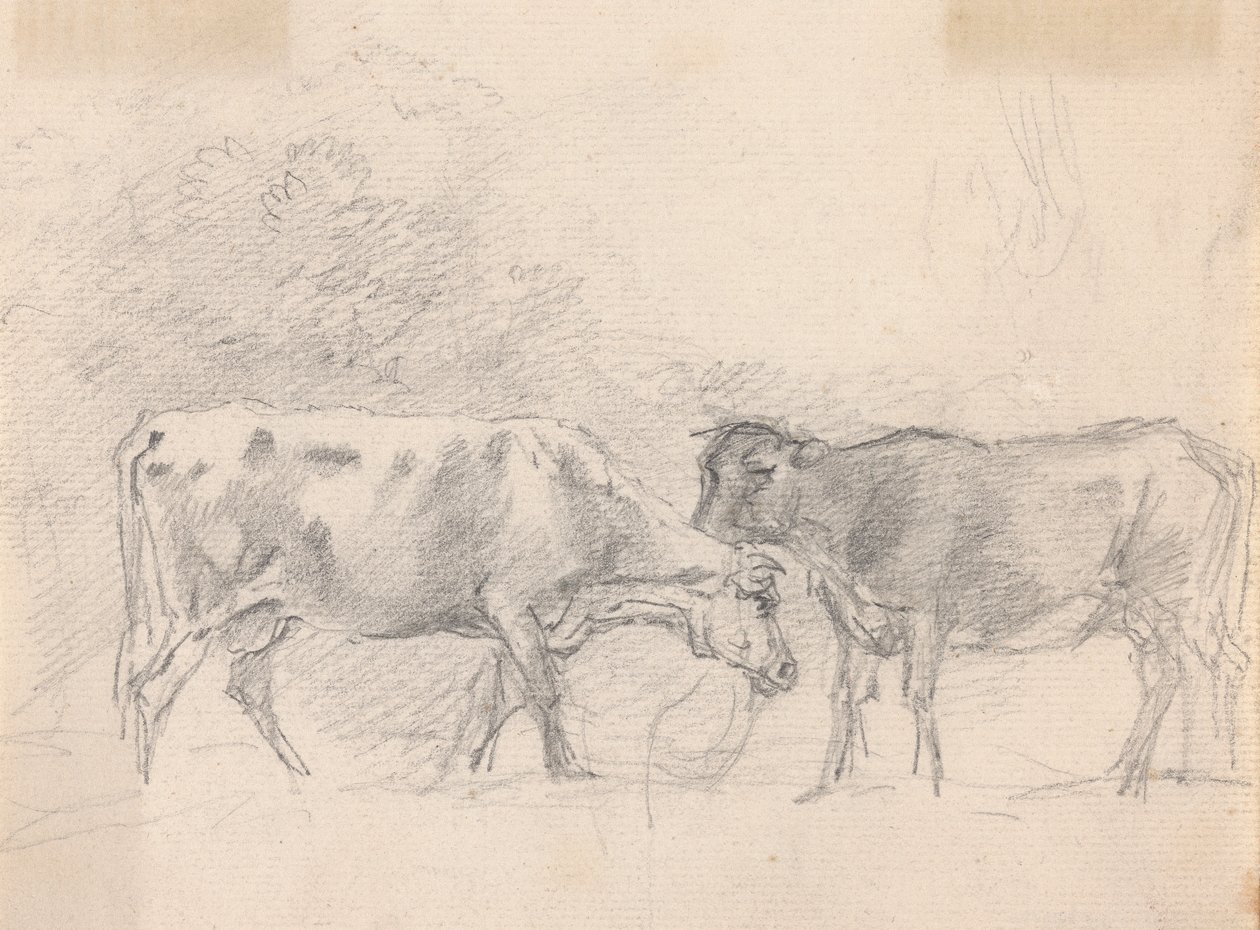 Two Cows Grazing by Sawrey Gilpin