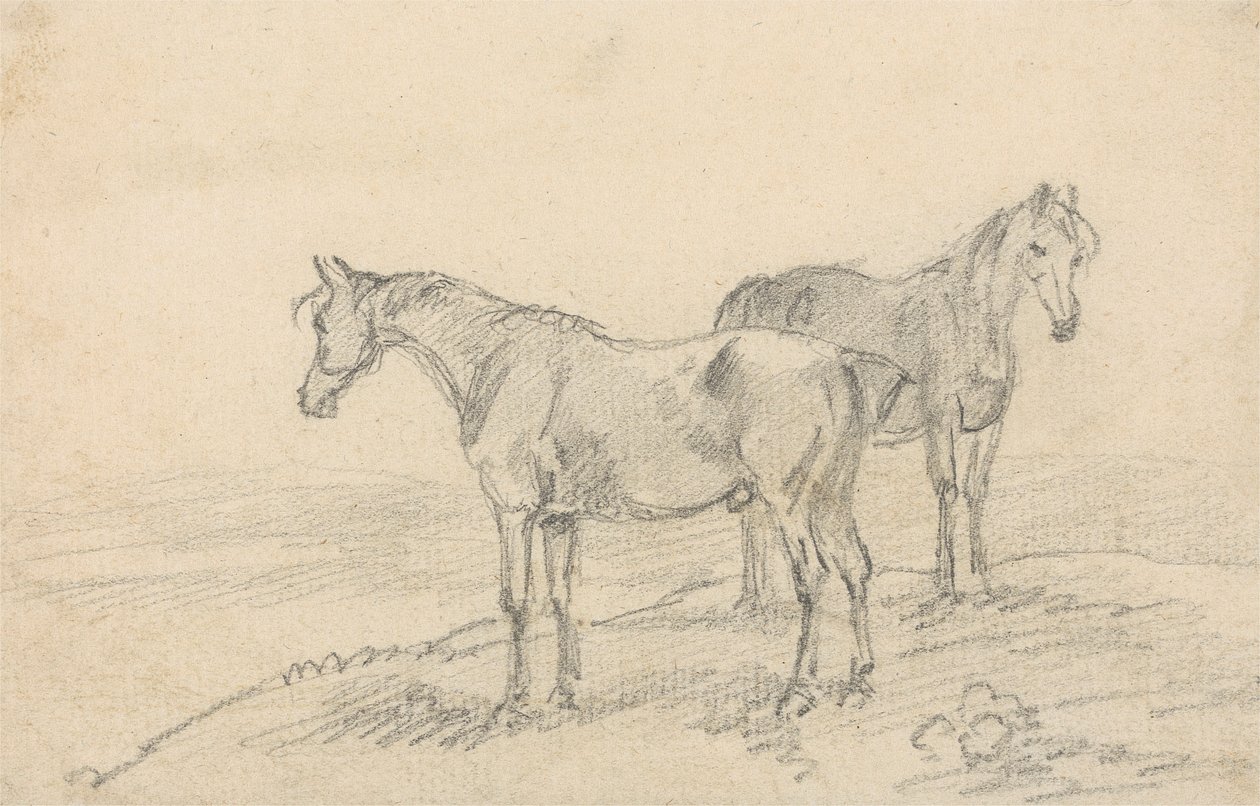 Two Horses by Sawrey Gilpin