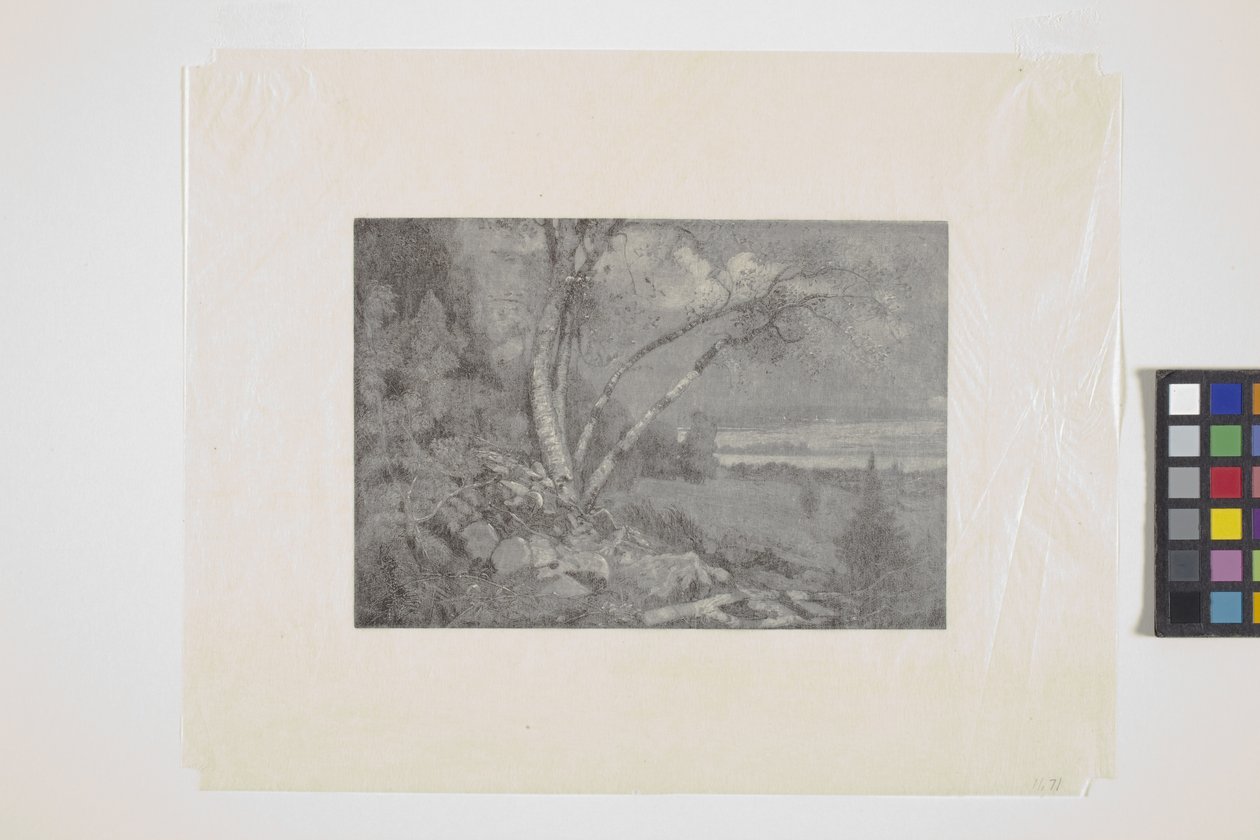 Landscape by School American