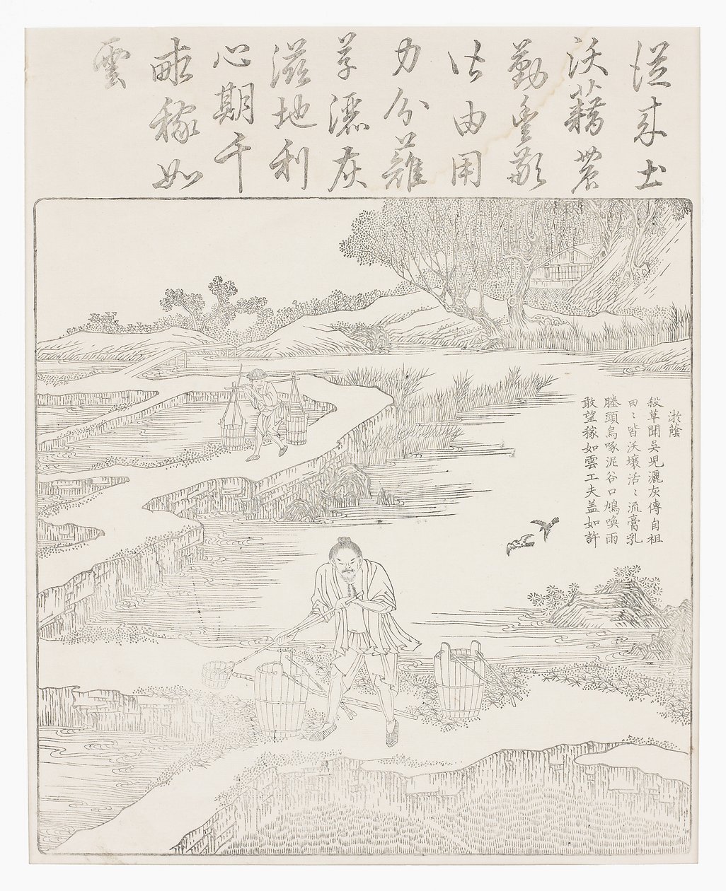 Fertilizing the Rice Seedlings by School Chinese
