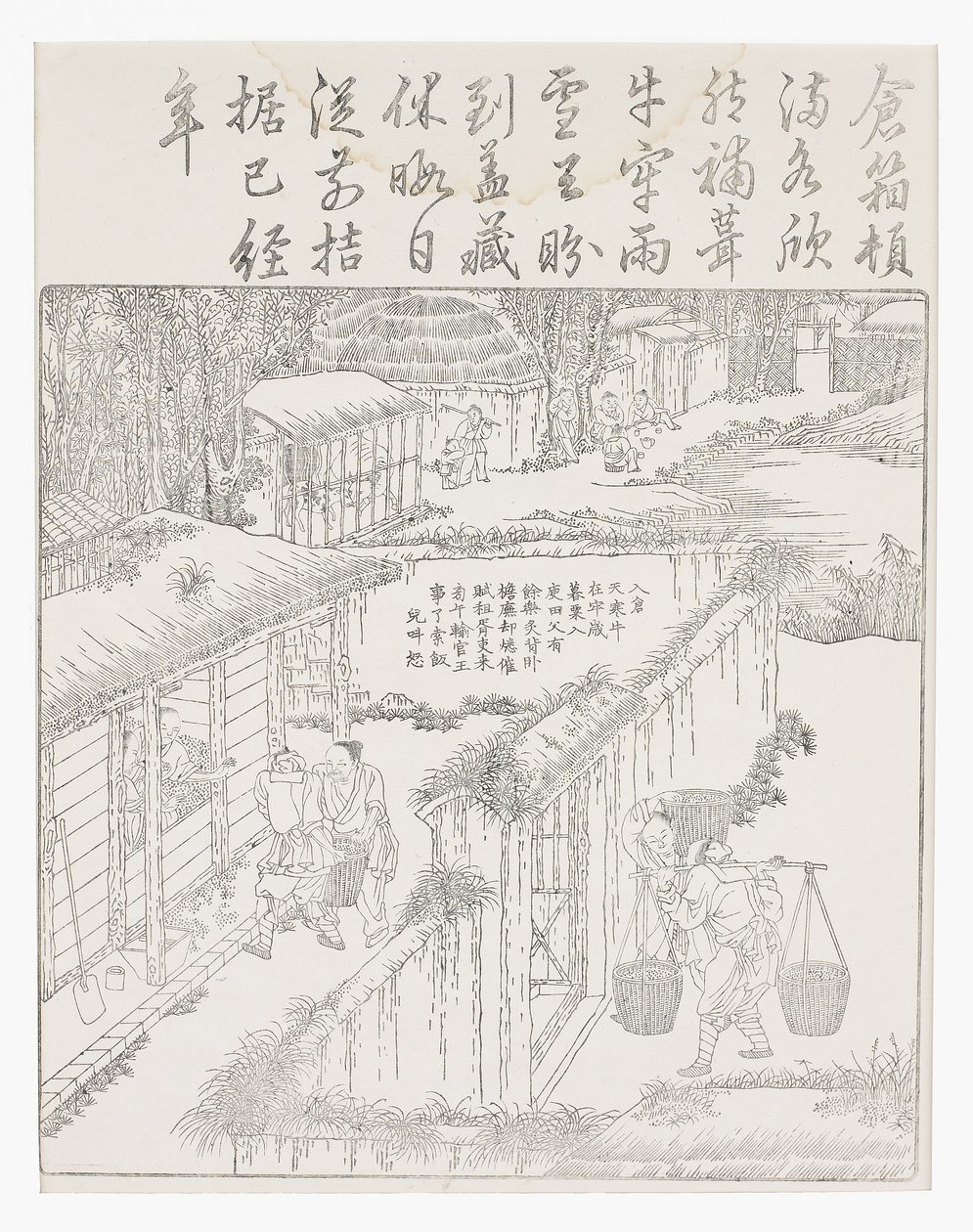 Storing the Rice by School Chinese