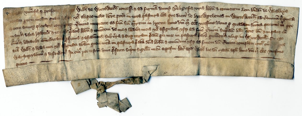 Medieval Deeds by School English