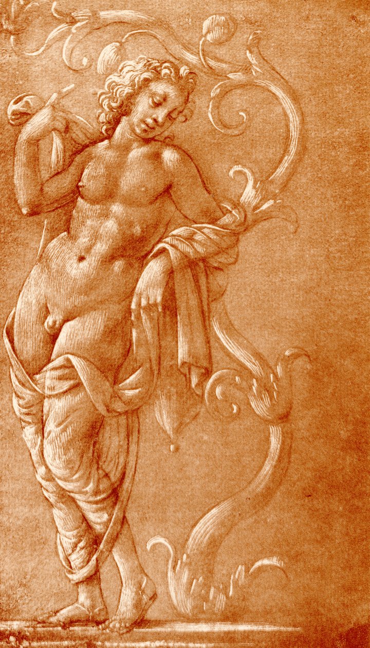 Young man leaning on a vine by School Florentine