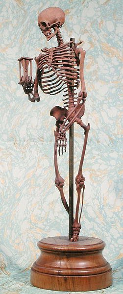 Small model skeleton by School French