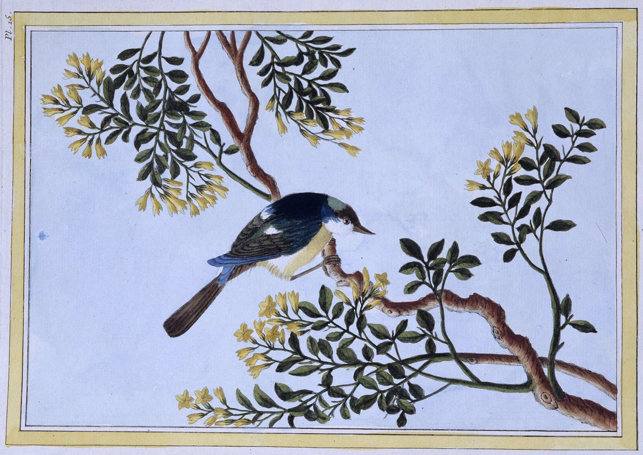 Bird - Japanese Print by Japanese School