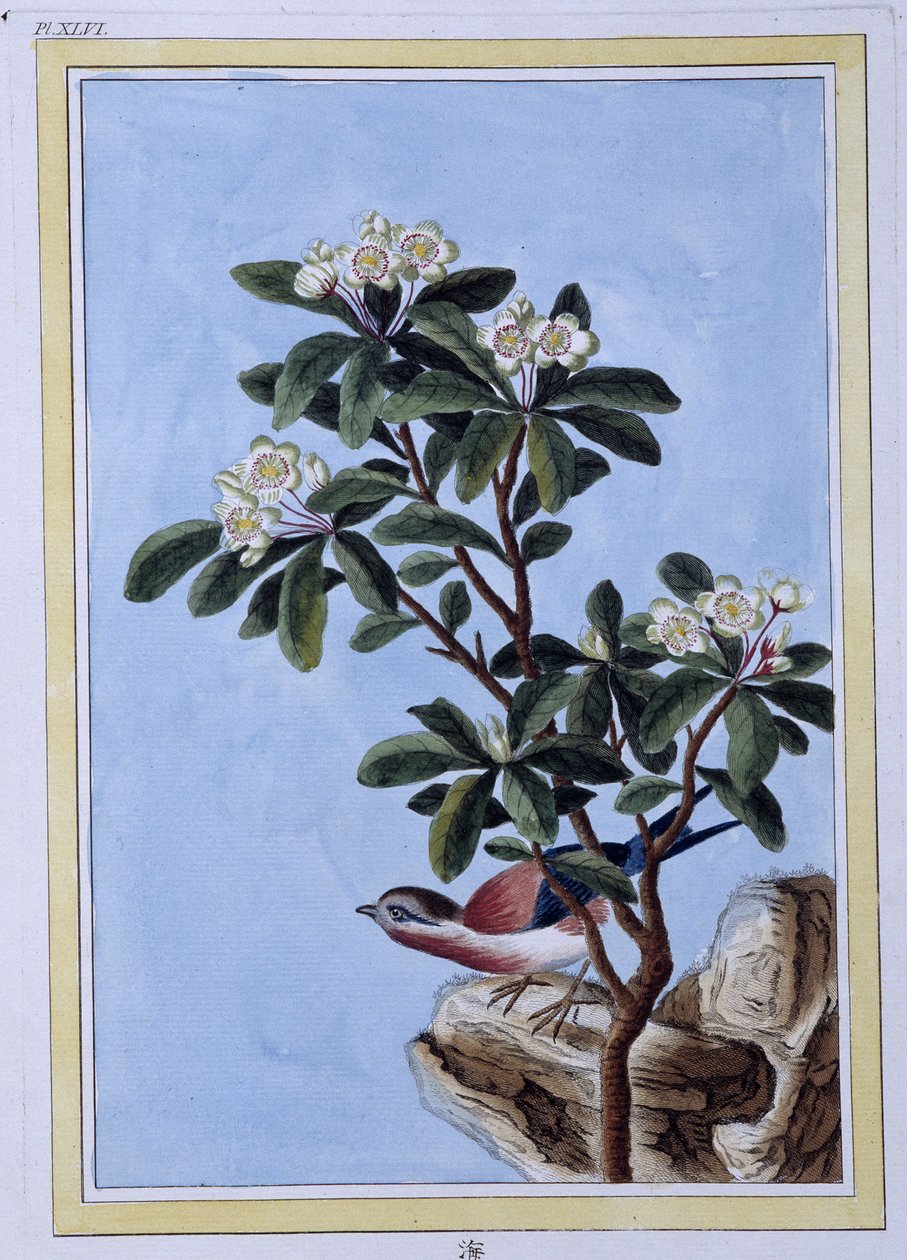 Bird - Japanese Print by Japanese School