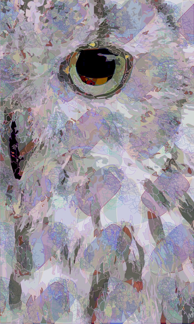 Owl3 by Scott J. Davis