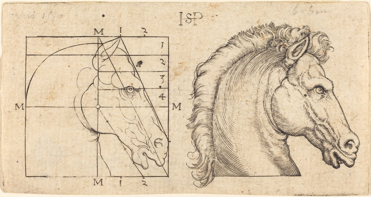 Two Horse Heads by Sebald Beham