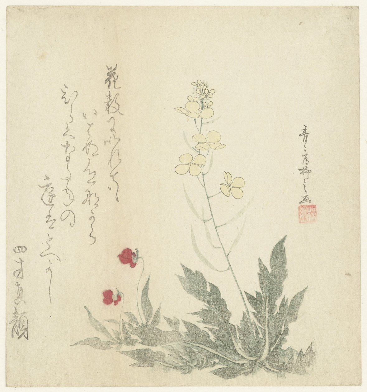 Flowering Plants by Seiseikyo Ryûshi