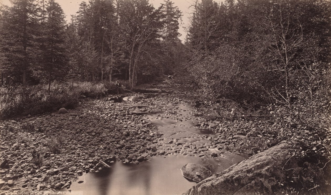 Marion River at Bassett