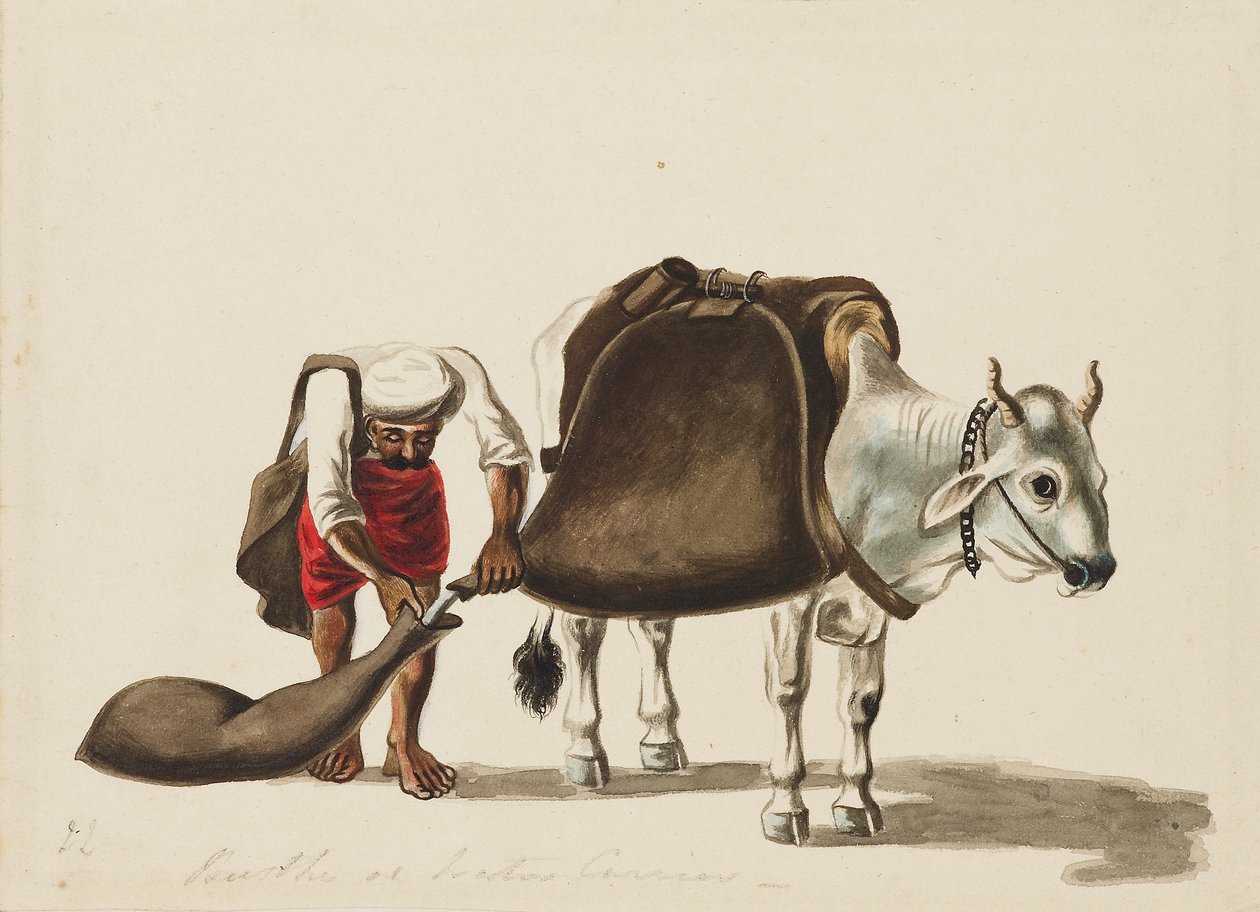 Water-carrier, c1810 by Sewak Ram