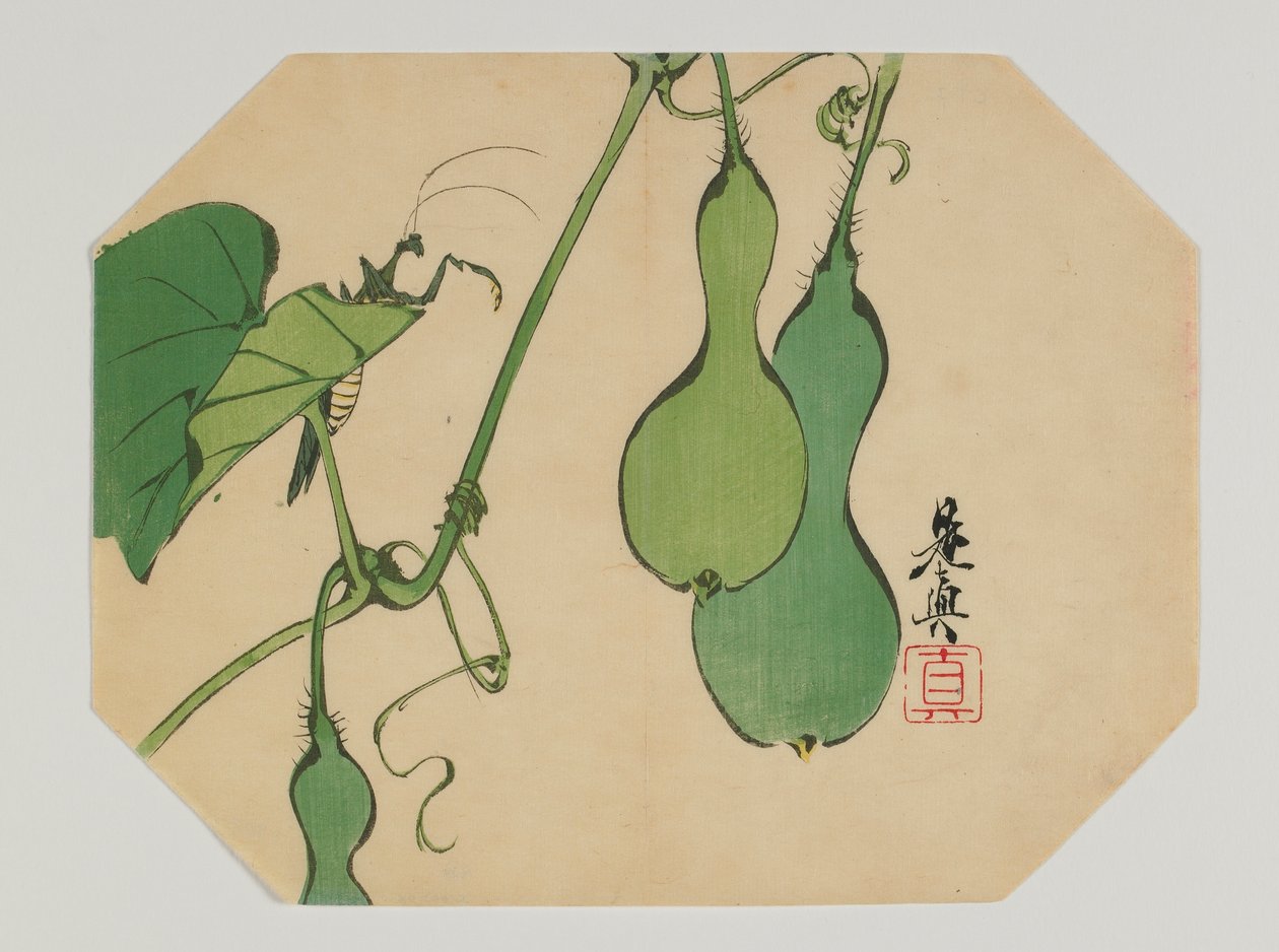 Print for an Uchiwa, Gourds on a Vine with a Mantis, Meiji Era by Shibata Zeshin
