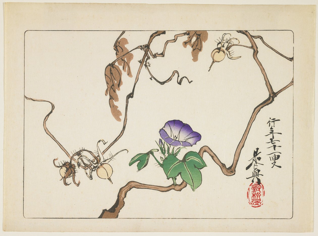 Vine and Seeds of Morning Glory, 1877 by Shibata Zeshin