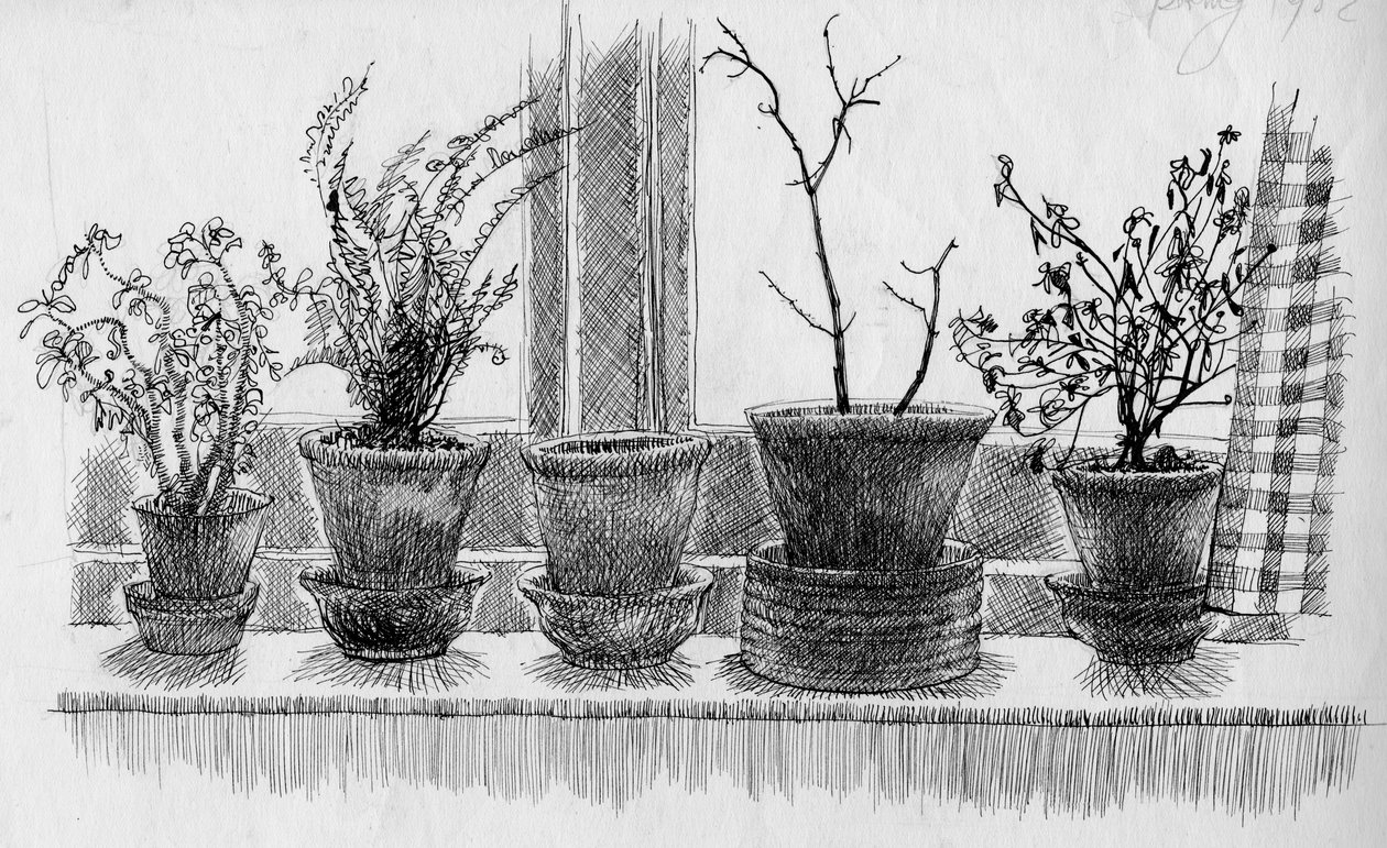 Dead Plants on a Windowsill by Shirley Markham