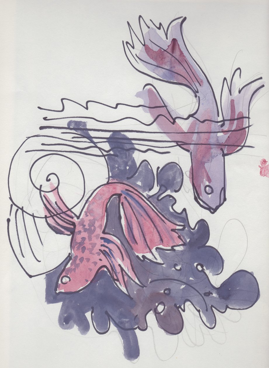 Fish study by Shirley Markham