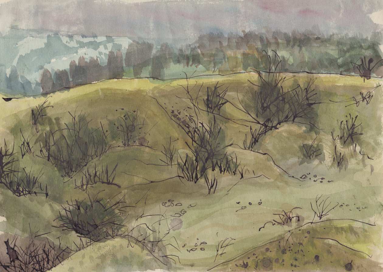 Landscape with bushes, Italy, c1950 by Shirley Markham