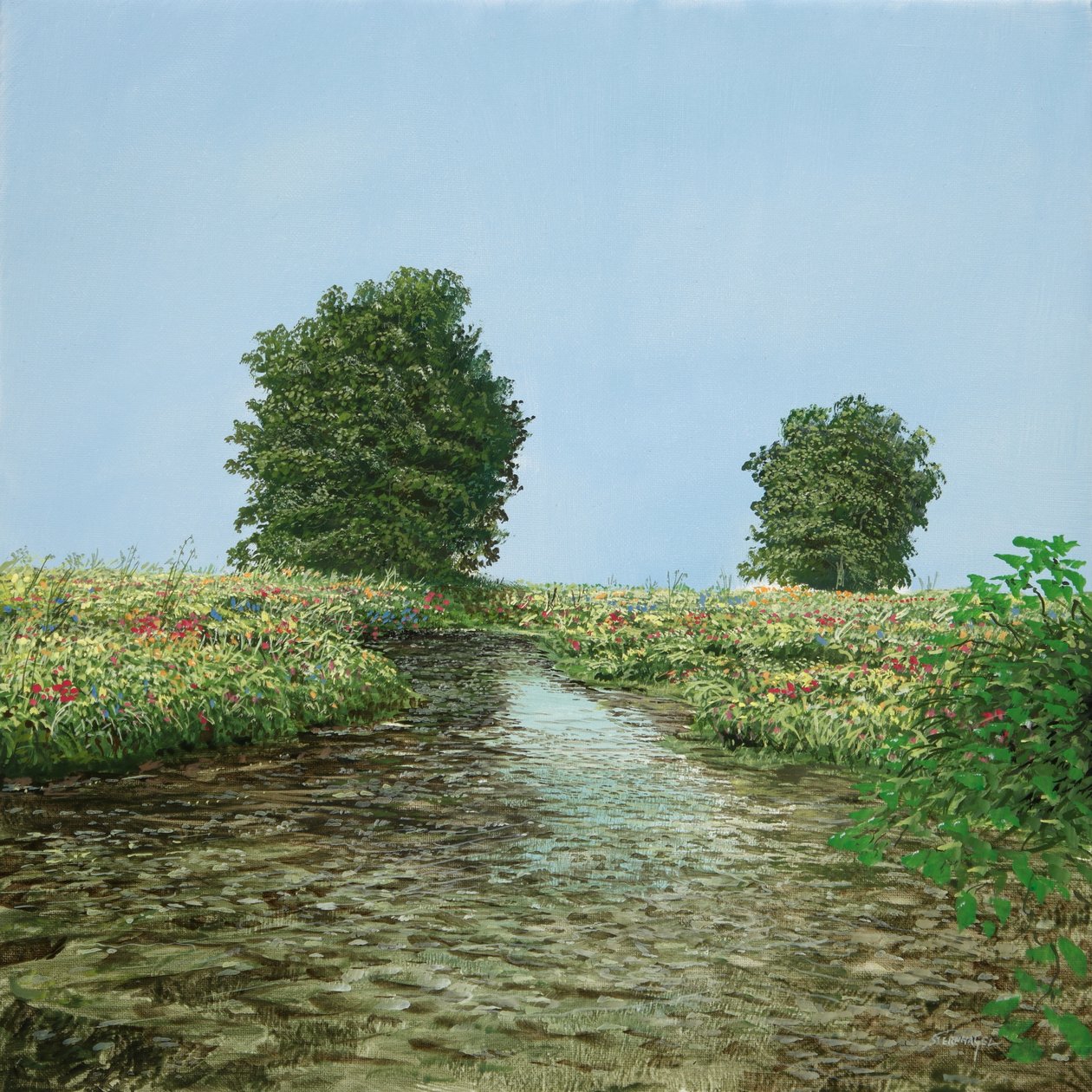 BBB-Tree-Brook-Picture by Silvian Sternhagel