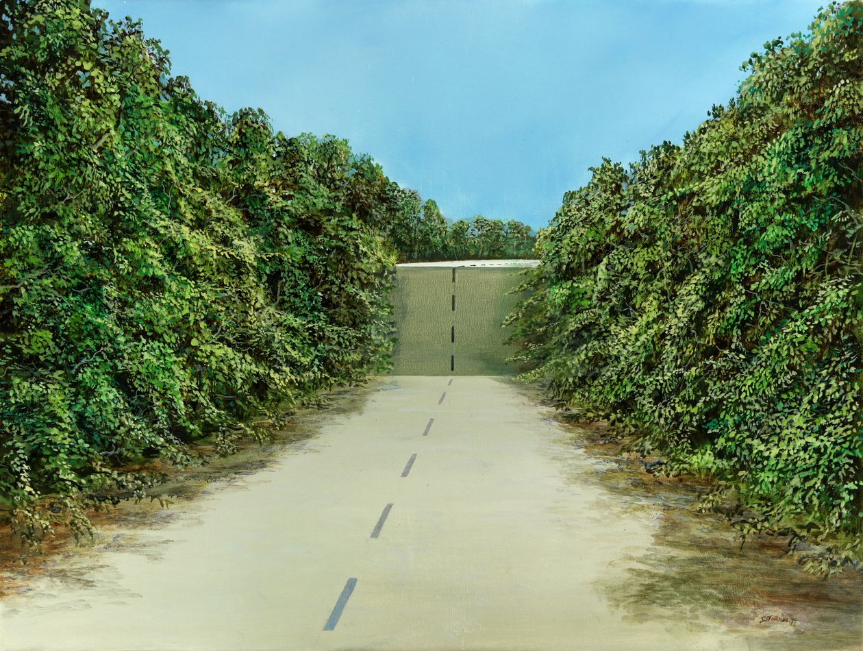 Drive Over by Silvian Sternhagel