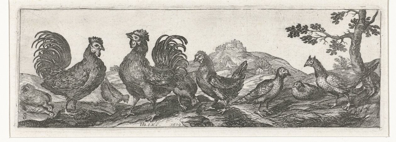 Poultry (Birds and Insects series) by Simon Frisius