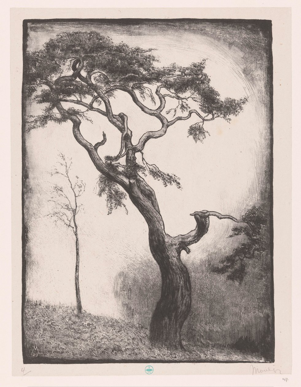 Pine Tree by Simon Moulijn (signed by artist)