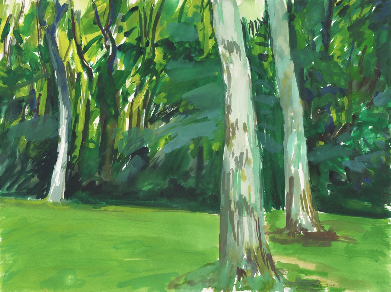 Garden and Wetland by Simon Neville