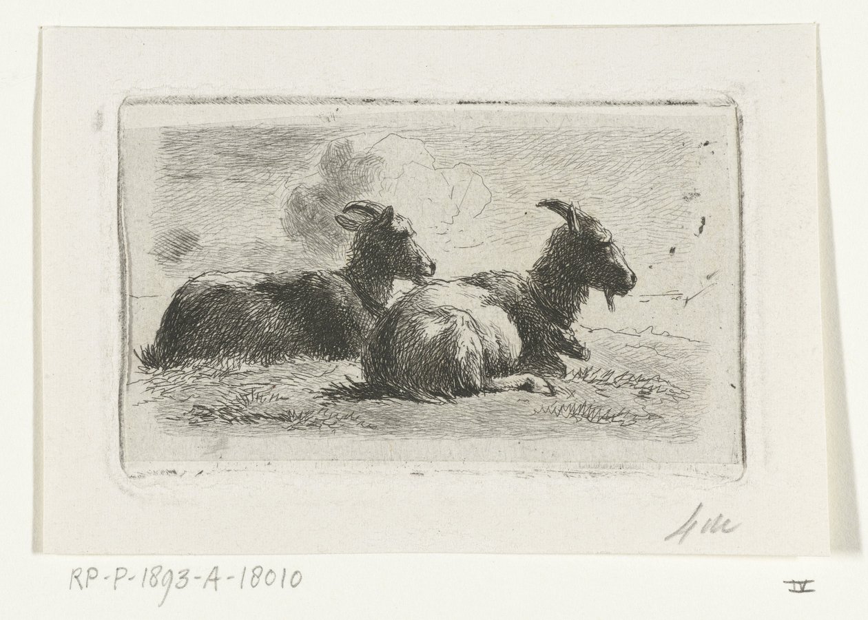 Two Lying Goats by Simon van den Berg