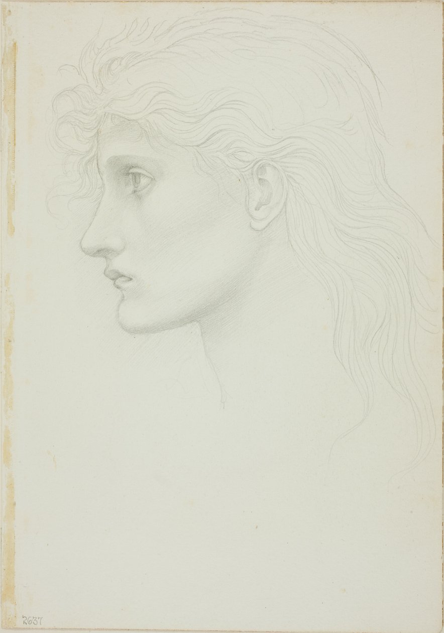 Head of Girl Facing Left by Sir Edward Burne Jones