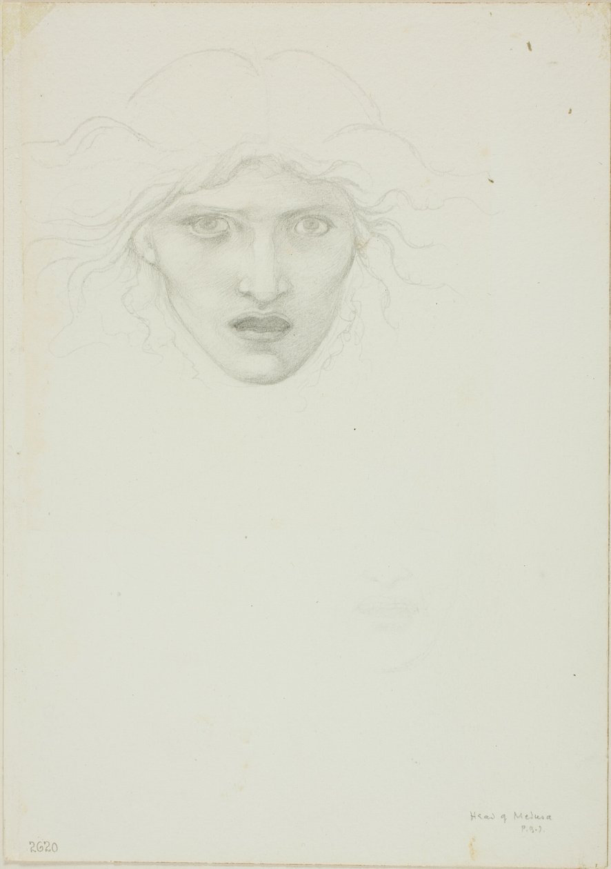 Study for Rondanini Medusa by Sir Edward Burne Jones