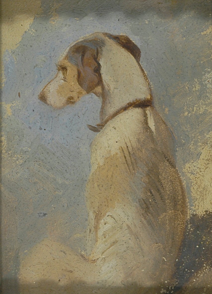 Study of a Greyhound by Sir Edwin Henry Landseer
