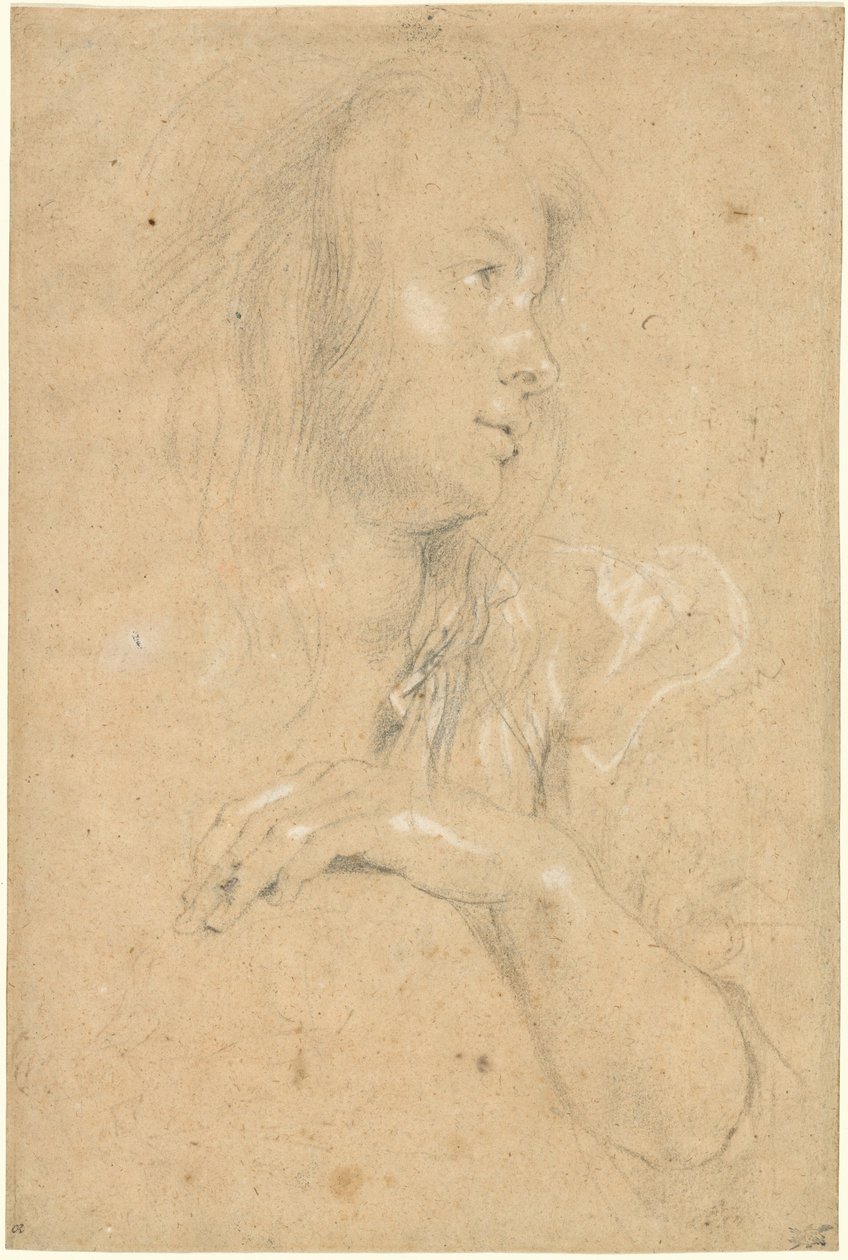 Young Woman in Profile by Sir Peter Paul Rubens