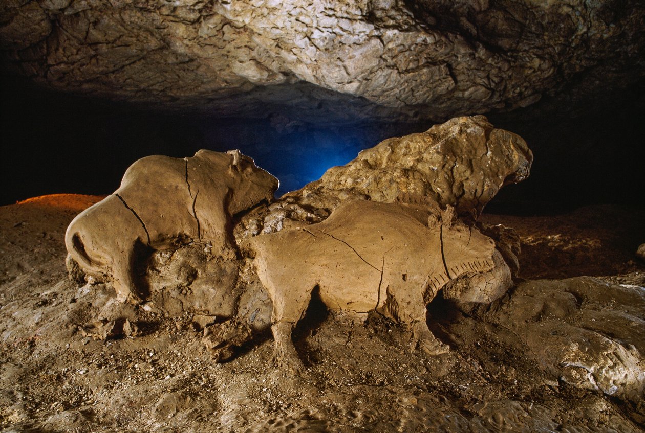 The Clay Bisons from Le Tuc d