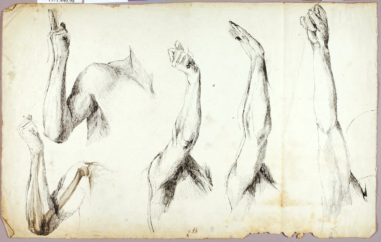 Arm Studies, #2 by Solon H. Borglum