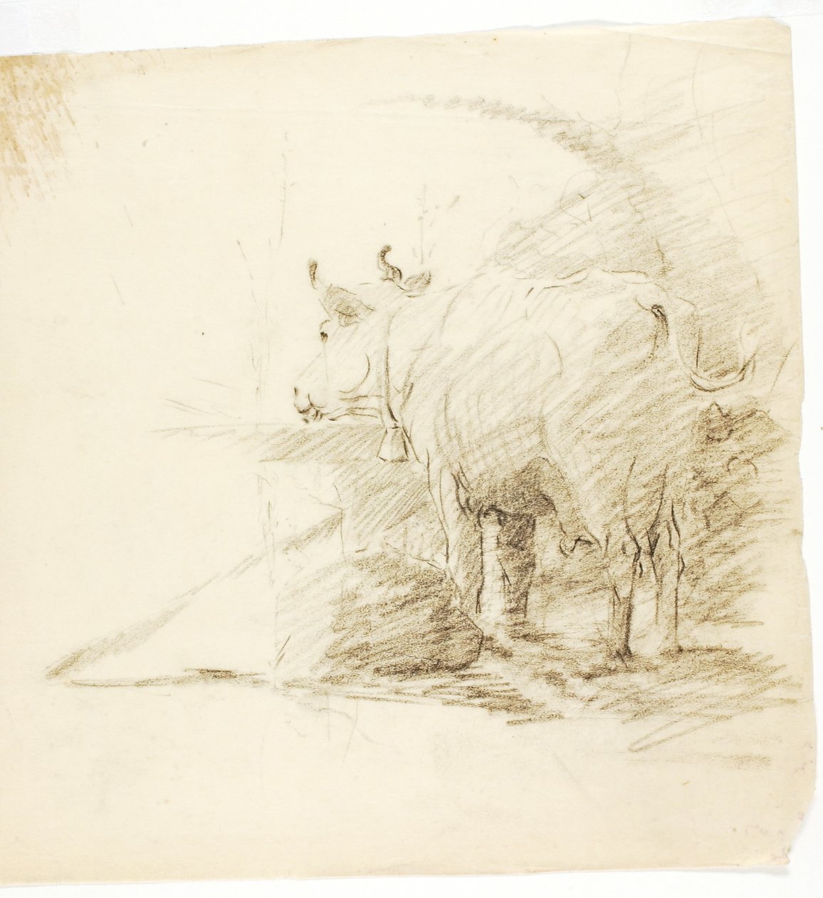 Cow by Solon H. Borglum
