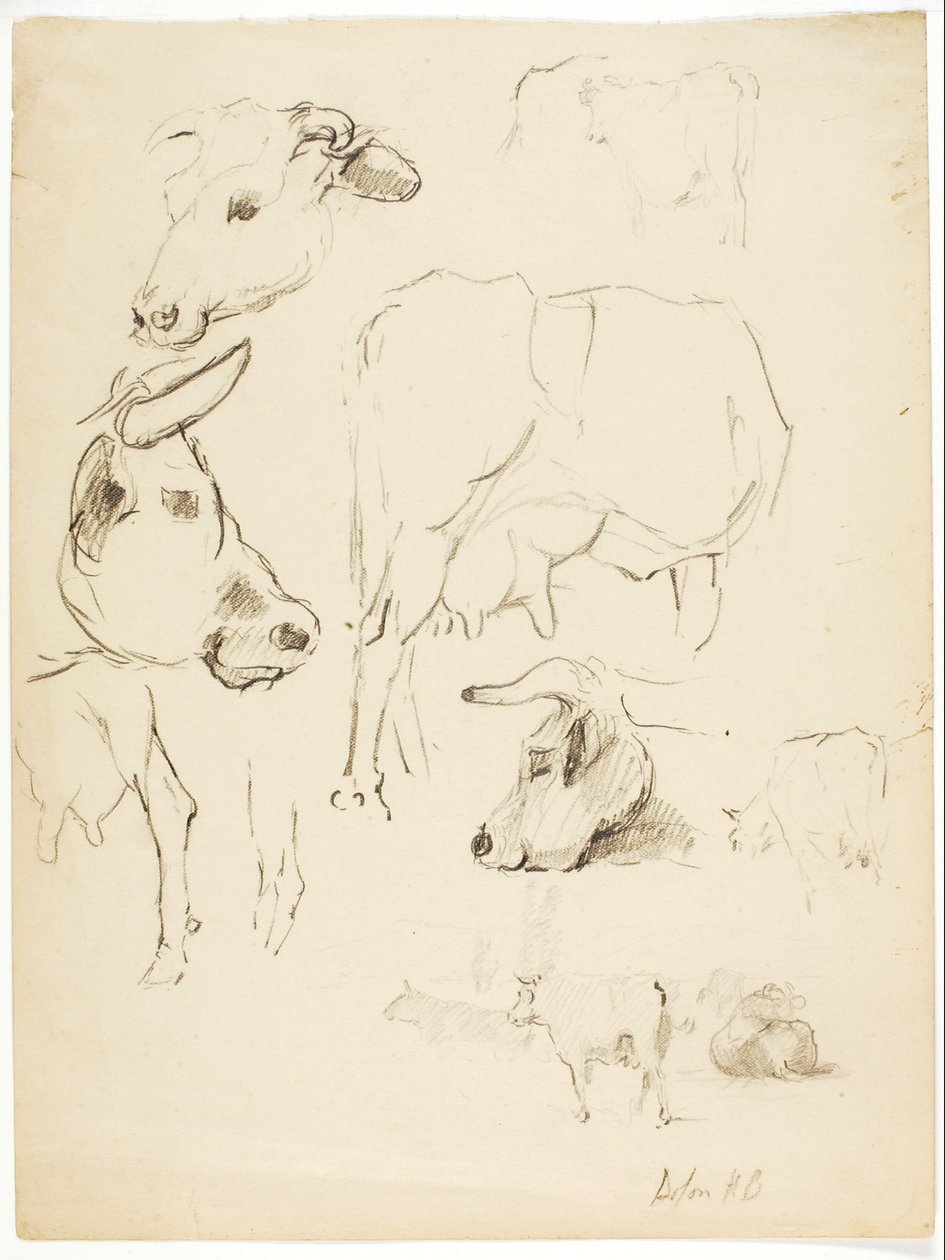 Cows by Solon H. Borglum