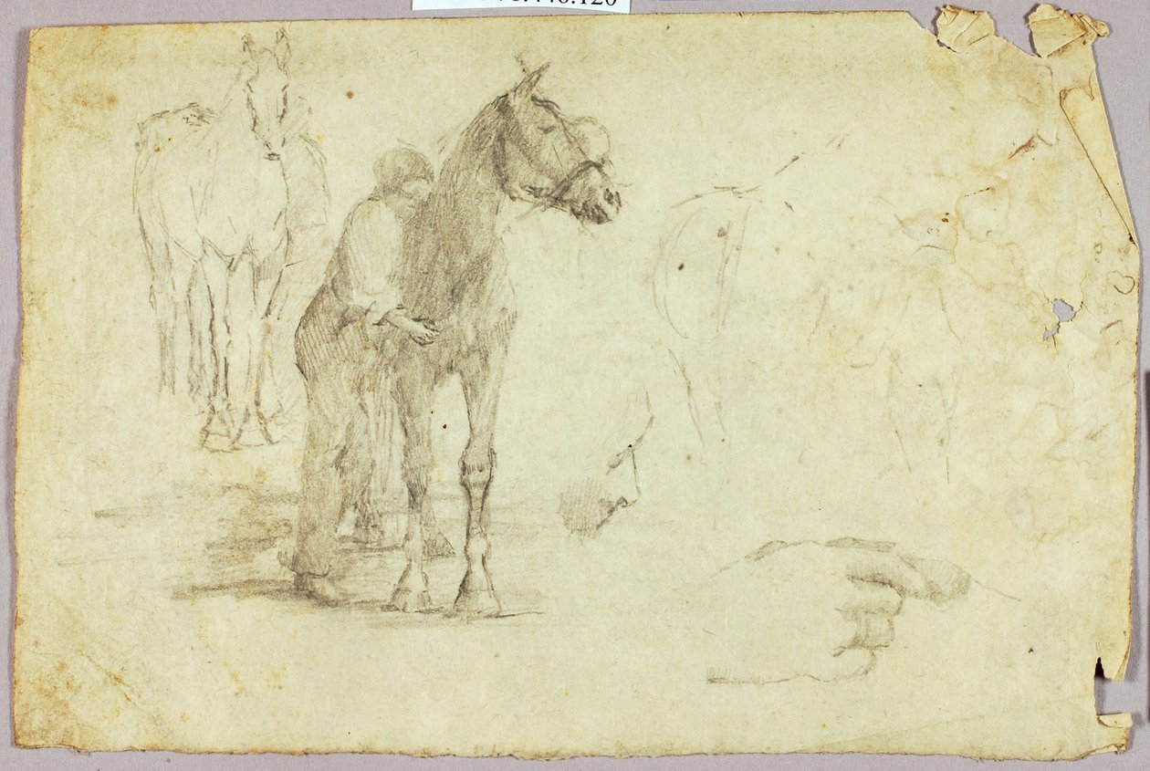Horse and Rider by Solon H. Borglum