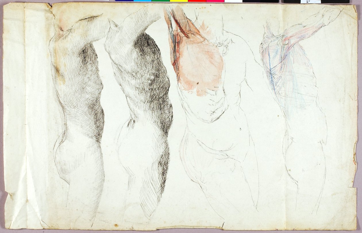 Nude Studies by Solon H. Borglum